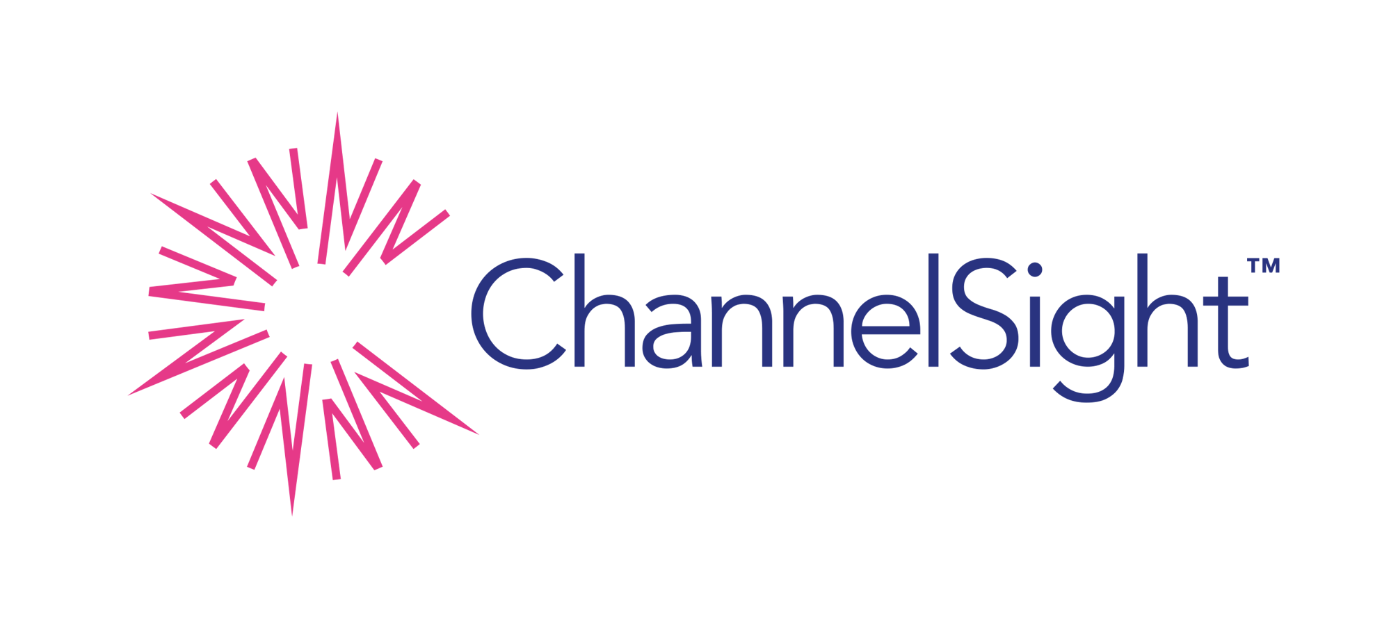 ChannelSight brandmark